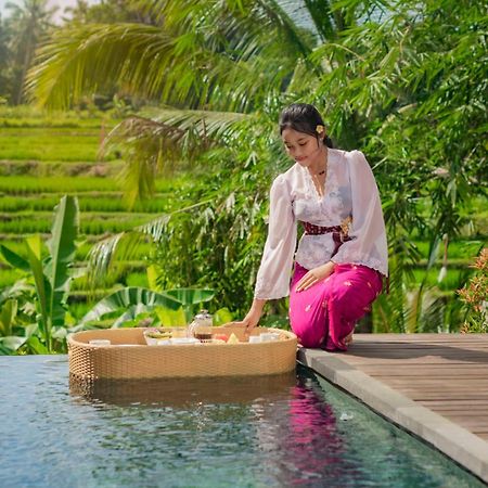 Padi Luwih Villa Ubud  Ngoại thất bức ảnh