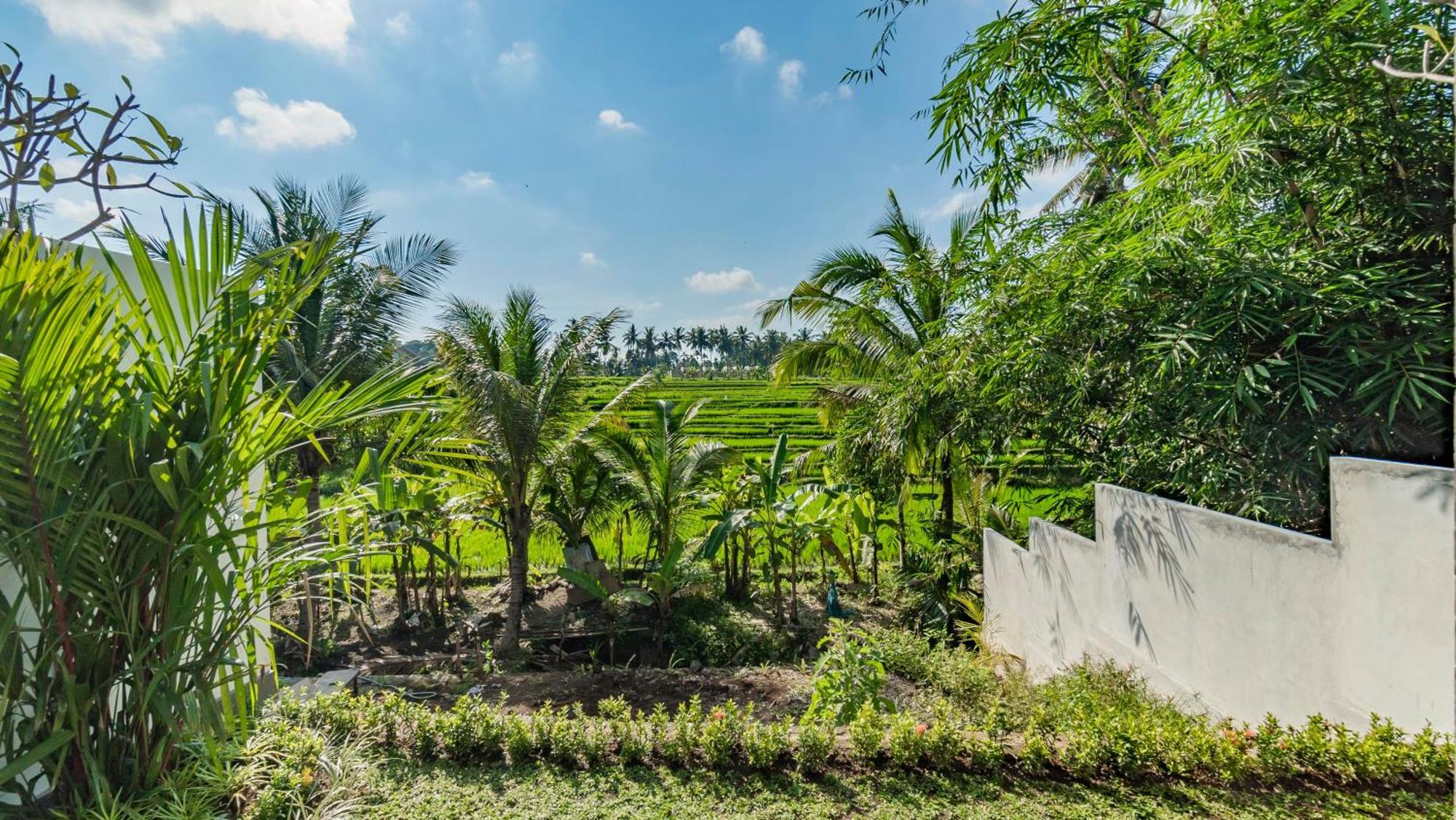 Padi Luwih Villa Ubud  Ngoại thất bức ảnh